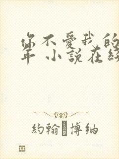 你不爱我的那些年 小说在线阅读