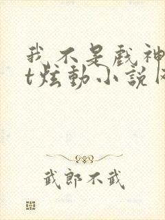 我不是戏神txt炫动小说网
