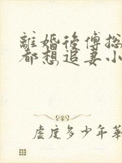 离婚后傅总每天都想追妻小说免费阅读