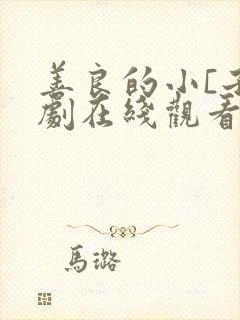 善良的小[子韩剧在线观看