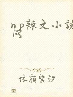 n p辣文小说网封面