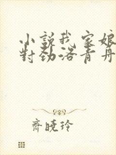 小说我家娘子不对劲洛青舟最新章节阅续