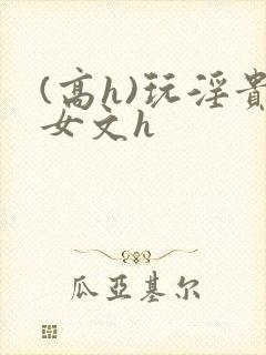 (高h)玩淫贵女文h封面