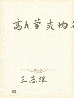 高h荤爽肉欲文