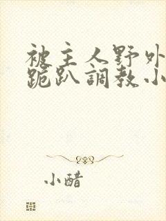 被主人野外玩弄跪趴调教小说