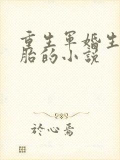 重生军婚生三胞胎的小说