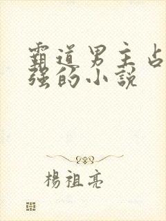 霸道男主占有欲强的小说