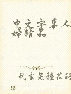 中文字幕人妻少妇精品