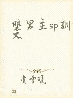 双男主sp训诫文