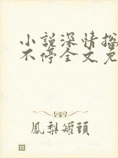 小说深情总裁宠不停全文免费阅读