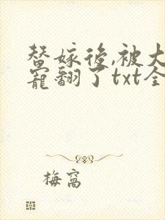 替嫁后,被大佬宠翻了txt全文下载