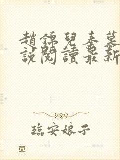 赵锦儿秦慕修小说阅读最新