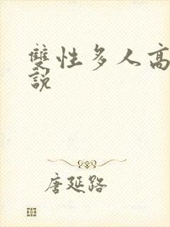 双性多人高h小说封面