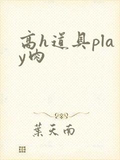 高h道具play肉