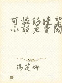 可怜的晓絮系列小说免费阅读