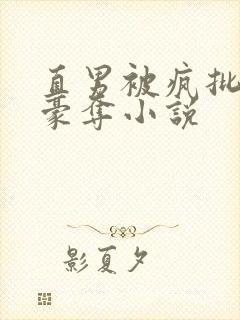 直男被疯批强取豪夺小说