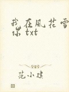 我在风花雪月等你 txt封面