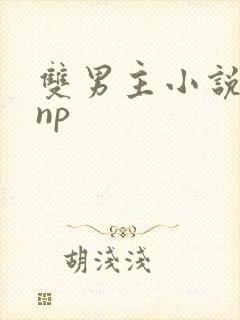 双男主小说推荐np