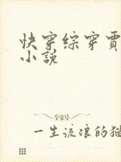 快穿综穿贾赦文小说