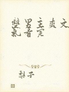 双男主爽文一口气看完封面