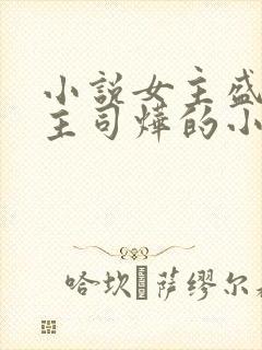 小说女主盛妩男主司烨的小说