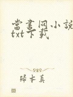 当书网小说免费txt下载