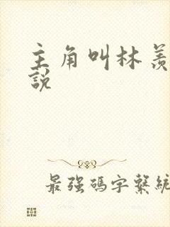 主角叫林羡的小说封面