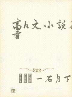 高h文小说在线看