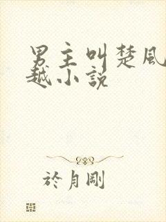 男主叫楚风的穿越小说