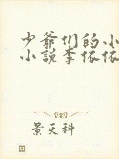 少爷们的小女仆小说李依依