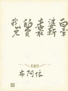 我的老婆白富美免费最新章节封面