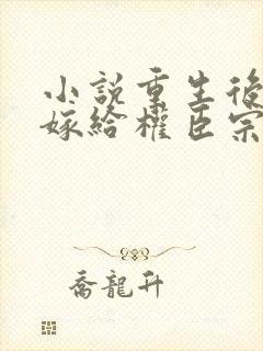 小说重生后绝不嫁给权臣宗肆在线阅读