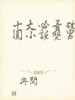 十大必看破镜重圆小说双男主