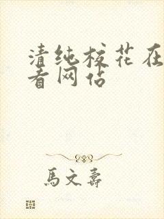 清纯校花在线观看网站