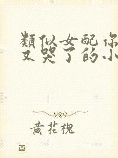 类似女配你怎么又哭了的小说