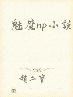 魅魔np小说封面