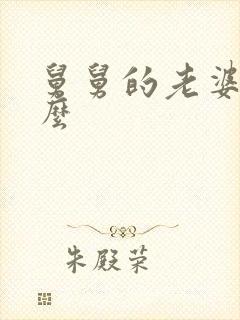 舅舅的老婆叫什么封面