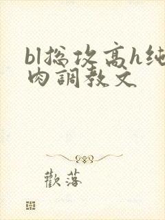 bl总攻高h纯肉调教文