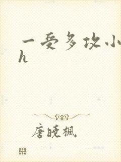 一受多攻小说高h封面