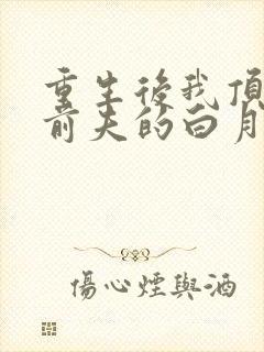 重生后我顶替了前夫的白月光结局封面