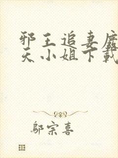 邪王追妻废材逆天小姐下载txt