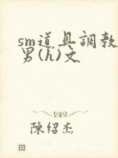 sm道具调教男男(h)文