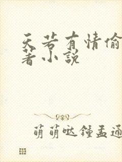 天若有情偷心原著小说