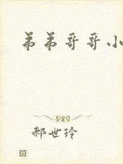 弟弟哥哥小说封面