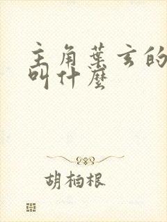 主角叶玄的小说叫什么