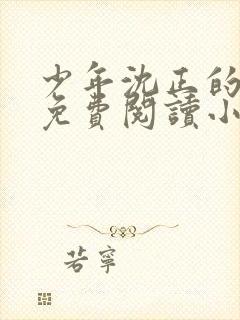 少年沈正的香艳免费阅读小说