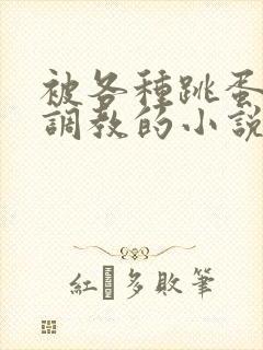 被各种跳蛋露出调教的小说