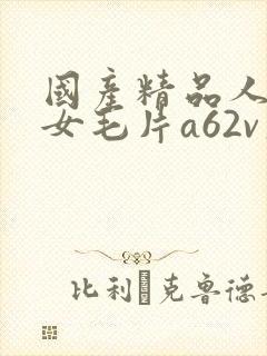 国产精品人妻熟女毛片a62v久久封面