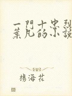 一门十忠烈主角叶凡的小说