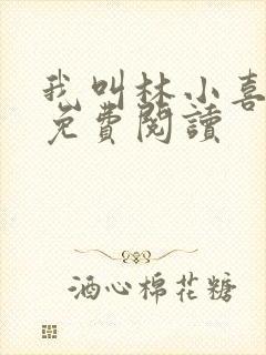 我叫林小喜全文免费阅读